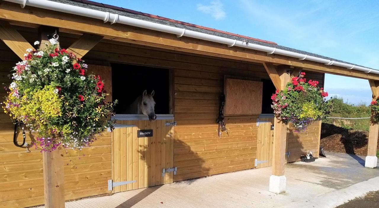 Brentor Rosebank Barn 빌라 외부 사진